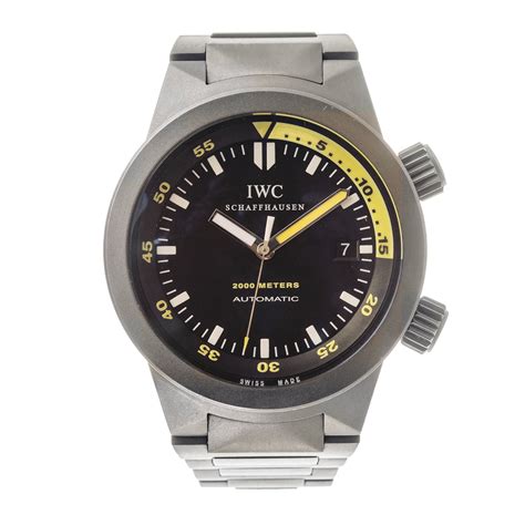 IWC Aquatimer Automatic 2000 Titanium Men's Watch IW353803 